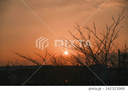 [伊丹スカイパーク]夕暮れ時の茜色の空へ！太陽が沈んでゆく風景 142323060
