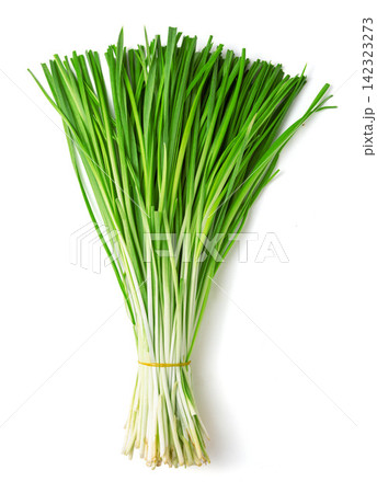 bundle of Green Garlic Chives Isolated on White Background bundle of Green Garlic Chives Isolated on White Background 142323273