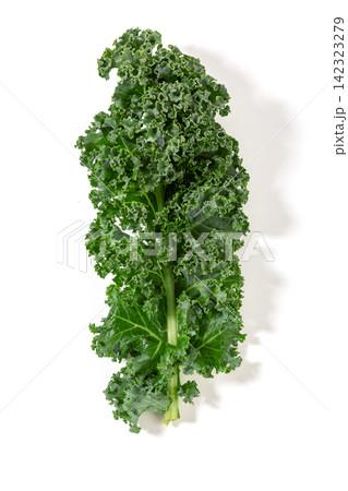 close-up Shot of Fresh Curly Green Kale Leaf 142323279