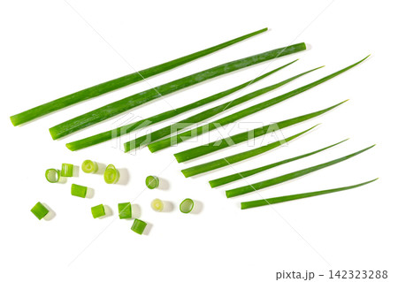 fresh Green Spring Onions Scallions Close-up on White Background fresh Green Spring Onions Scallions Close-up on White Background 142323288