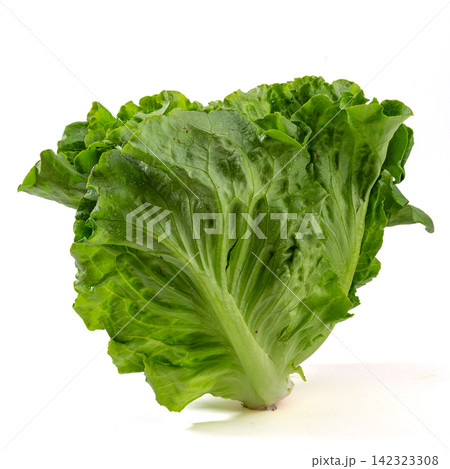 rresh Green Romaine Lettuce Leaves Close Up rresh Green Romaine Lettuce Leaves Close Up 142323308