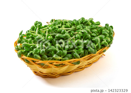 fresh Green Pea Shoots Microgreens Close Up fresh Green Pea Shoots Microgreens Close Up 142323329