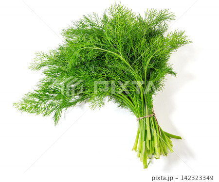 bundle of Green Fennel Leaves Close Up bundle of Green Fennel Leaves Close Up 142323349