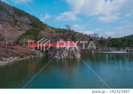 [勝尾寺]大阪の山奥にあるダルマで有名な神社！ 142323497