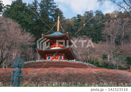 [勝尾寺]大阪の山奥にあるダルマで有名な神社！ 142323510