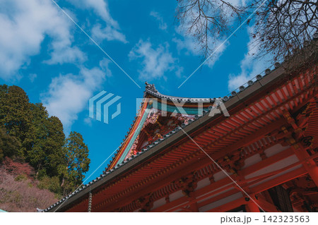 [勝尾寺]大阪の山奥にあるダルマで有名な神社！真っ青な空と本堂 142323563