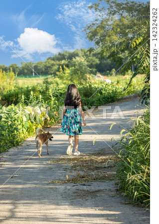Rear view of Asian little girl walking dog on rural path, peaceful countryside lifestyle and childhood exploration concept Rear view of Asian little girl walking dog on rural path, peaceful countryside lifestyle and childhood exploration concept 142324262