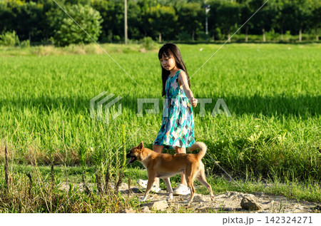 Asian little girl walking with dog on country road, happy childhood outdoor lifestyle and natural environment concept 142324271