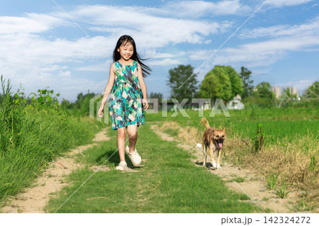 Asian little girl walking with dog on country road, happy childhood outdoor lifestyle and natural environment concept Asian little girl walking with dog on country road, happy childhood outdoor lifestyle and natural environment concept 142324272
