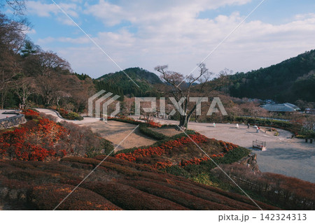 [勝尾寺]大阪の山奥にあるダルマで有名なお寺！歴史あるお寺の境内の風景 142324313