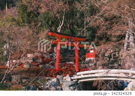 [勝尾寺]大阪の山奥にあるダルマで有名なお寺！歴史あるお寺の境内の風景 142324329