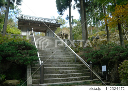 杉林に囲まれた寺院の参道と石段門 142324472