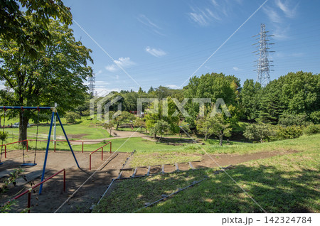 岸根公園 夏 神奈川県横浜市港北区 岸根公園 夏 神奈川県横浜市港北区 142324784