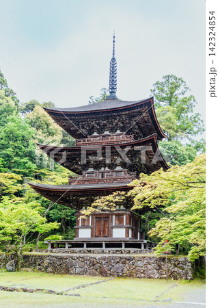 【滋賀県東近江市】西明寺 三重塔 【滋賀県東近江市】西明寺 三重塔 142324854