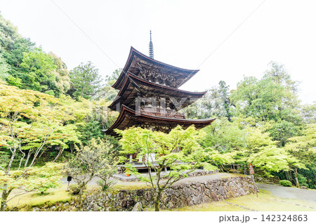 【滋賀県東近江市】西明寺 三重塔 【滋賀県東近江市】西明寺 三重塔 142324863
