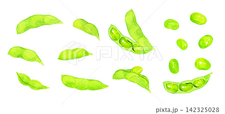 枝豆のセット 夏野菜の手描き水彩イラスト素材 枝豆のセット 夏野菜の手描き水彩イラスト素材 142325028