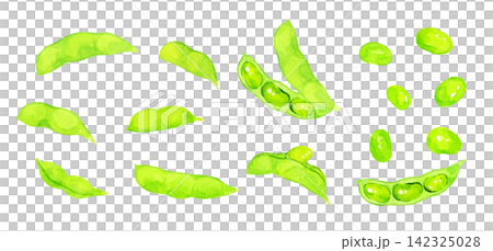 枝豆のセット 夏野菜の手描き水彩イラスト素材 枝豆のセット 夏野菜の手描き水彩イラスト素材 142325028