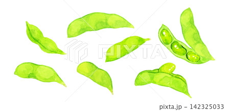 枝豆のセット 夏野菜の手描き水彩イラスト素材 枝豆のセット 夏野菜の手描き水彩イラスト素材 142325033
