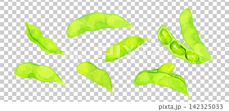 枝豆のセット 夏野菜の手描き水彩イラスト素材 枝豆のセット 夏野菜の手描き水彩イラスト素材 142325033