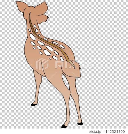 手書き動物イラスト☆牝鹿 手書き動物イラスト☆牝鹿 142325300