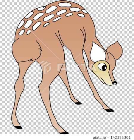 Hand-drawn animal illustration ☆ Doe Hand-drawn animal illustration ☆ Doe 142325301