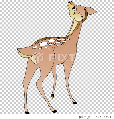 手繪動物插畫☆母鹿 手繪動物插畫☆母鹿 142325304