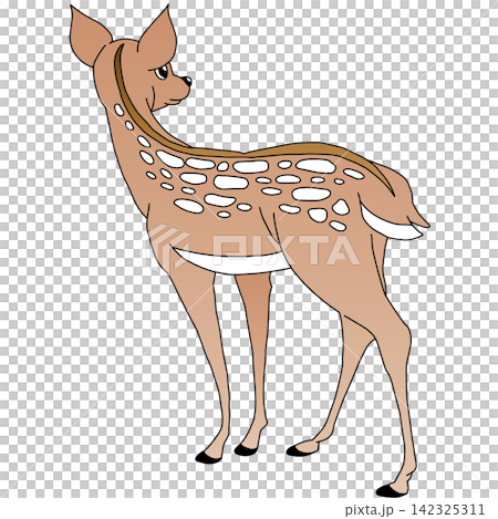 手繪動物插畫☆母鹿 142325311