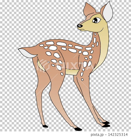 Hand-drawn animal illustration ☆ Doe Hand-drawn animal illustration ☆ Doe 142325314