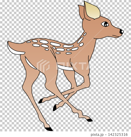 手繪動物插畫☆母鹿 手繪動物插畫☆母鹿 142325316