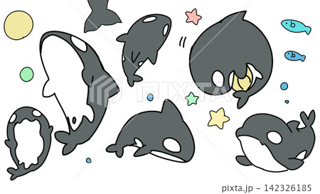 可愛いシャチのイラストセット 可愛いシャチのイラストセット 142326185