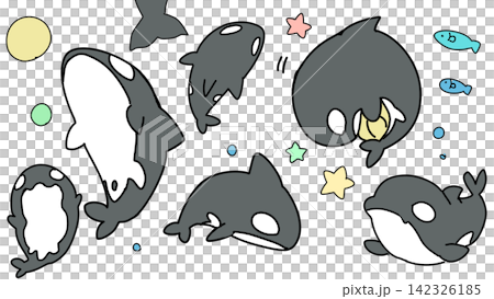 可愛いシャチのイラストセット 可愛いシャチのイラストセット 142326185