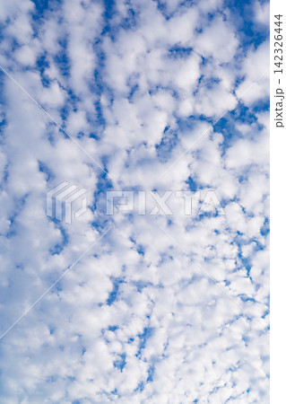 青空いっぱいに広がる白い高積雲の細かな雲模様 青空いっぱいに広がる白い高積雲の細かな雲模様 142326444