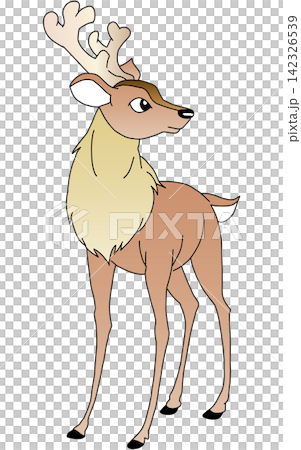 Hand-drawn animal illustration ☆ Deer Hand-drawn animal illustration ☆ Deer 142326539
