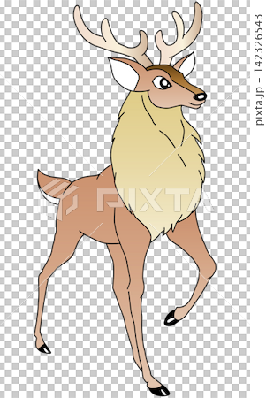 Hand-drawn animal illustration ☆ Deer 142326543