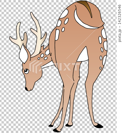 手書き動物イラスト☆鹿 手書き動物イラスト☆鹿 142326546