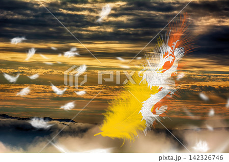 3D Flag on feathers 142326746