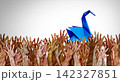Community Project Support 142327851