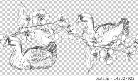 Seamless border of the goose and bird cherry branch. Handmade farm pencil illustrations. For design of cards, cover, prints, product labels and fabric. Seamless border of the goose and bird cherry branch. Handmade farm pencil illustrations. For design of cards, cover, prints, product labels and fabric. 142327922