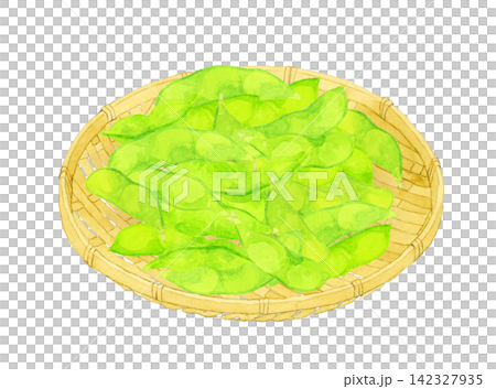 竹ざるに乗った枝豆　手描き水彩イラスト素材 142327935