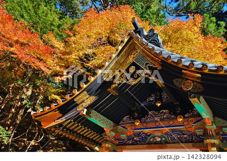 紅葉に彩られた日光東照宮 紅葉に彩られた日光東照宮 142328094