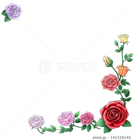 水彩で描いたバラの花の背景イラスト 142328148