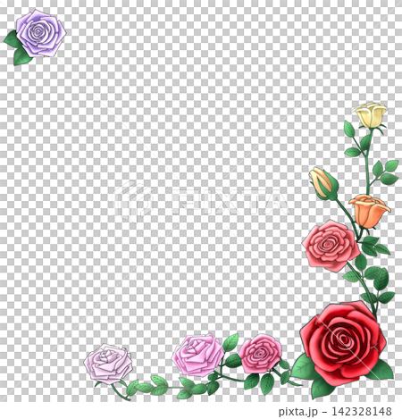 背景中的水彩玫瑰插圖 142328148
