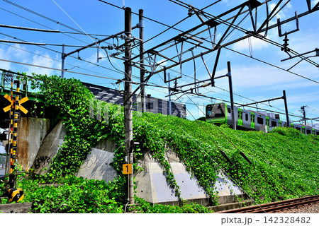 都内の数少ないJR東日本の踏切の一つ 長者丸踏切 都内の数少ないJR東日本の踏切の一つ 長者丸踏切 142328482