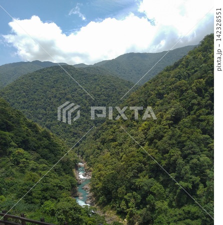 台湾烏来の山間を流れる清流と森林の風景 142328551