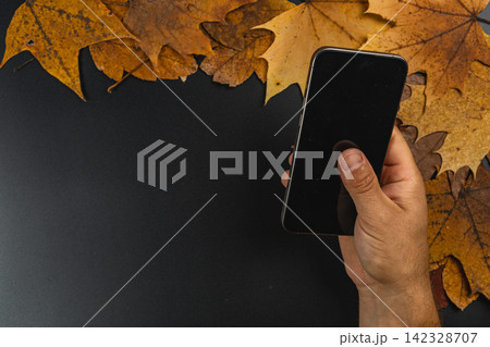 Smartphone resting on autumn leaves in a seasonal workspace flat lay Smartphone resting on autumn leaves in a seasonal workspace flat lay 142328707