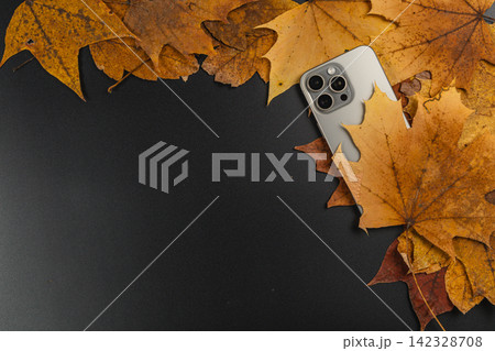 Smartphone surrounded by autumn leaves on a dark surface Smartphone surrounded by autumn leaves on a dark surface 142328708