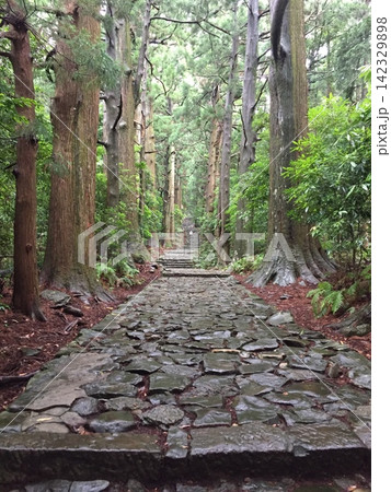 熊野古道。濡れた大門坂の石畳 142329898
