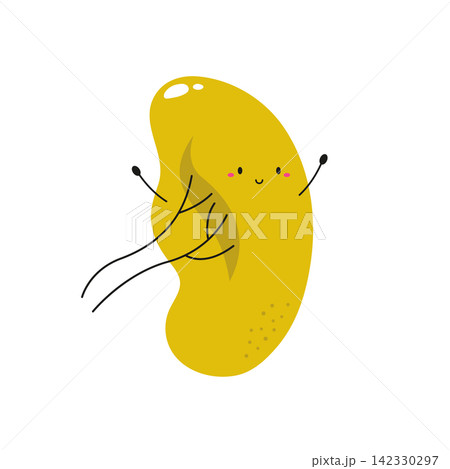 Vector illustration of a happy healthy spleen character Vector illustration of a happy healthy spleen character 142330297