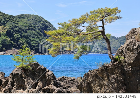 夏の美保関 惣津海岸 1 夏の美保関 惣津海岸 1 142331449