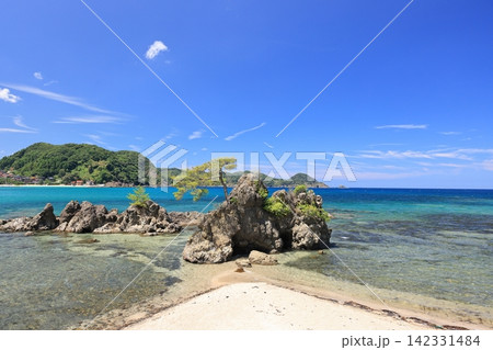夏の美保関 惣津海岸 11 夏の美保関 惣津海岸 11 142331484
